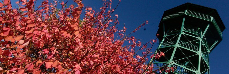 The green Garrison Hill observation tower against a deep blue sky, framed by vivid red autumn foliage
