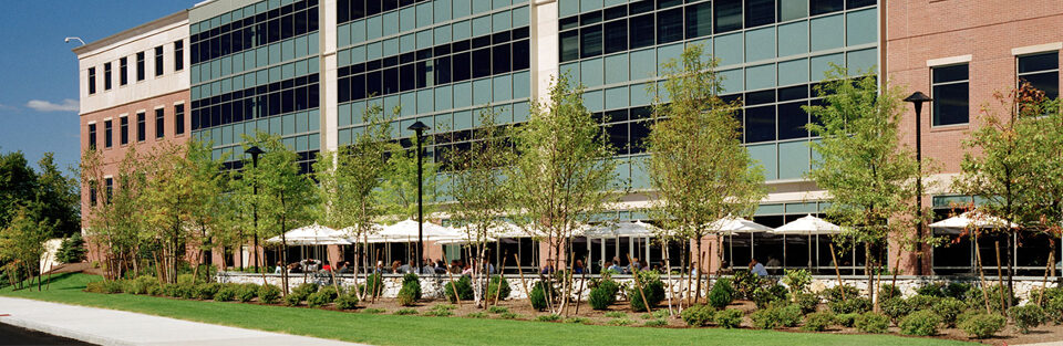 A modern brick-and-glass civic building in Dover with an outdoor cafe and young trees
