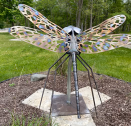 Dragonfly, by Robert Georgic