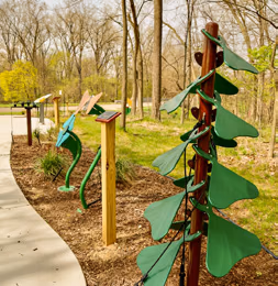 Outdoor Music Park