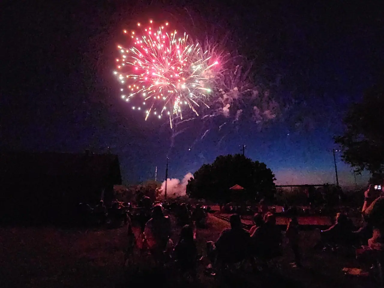 Pink and gold fireworks burst over a crowd watching on the night of the 3rd of July.