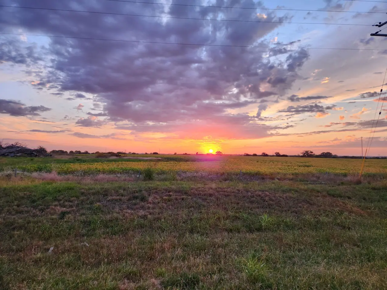 Sunrise over open prairie with pink and violet clouds above a low tree line.
