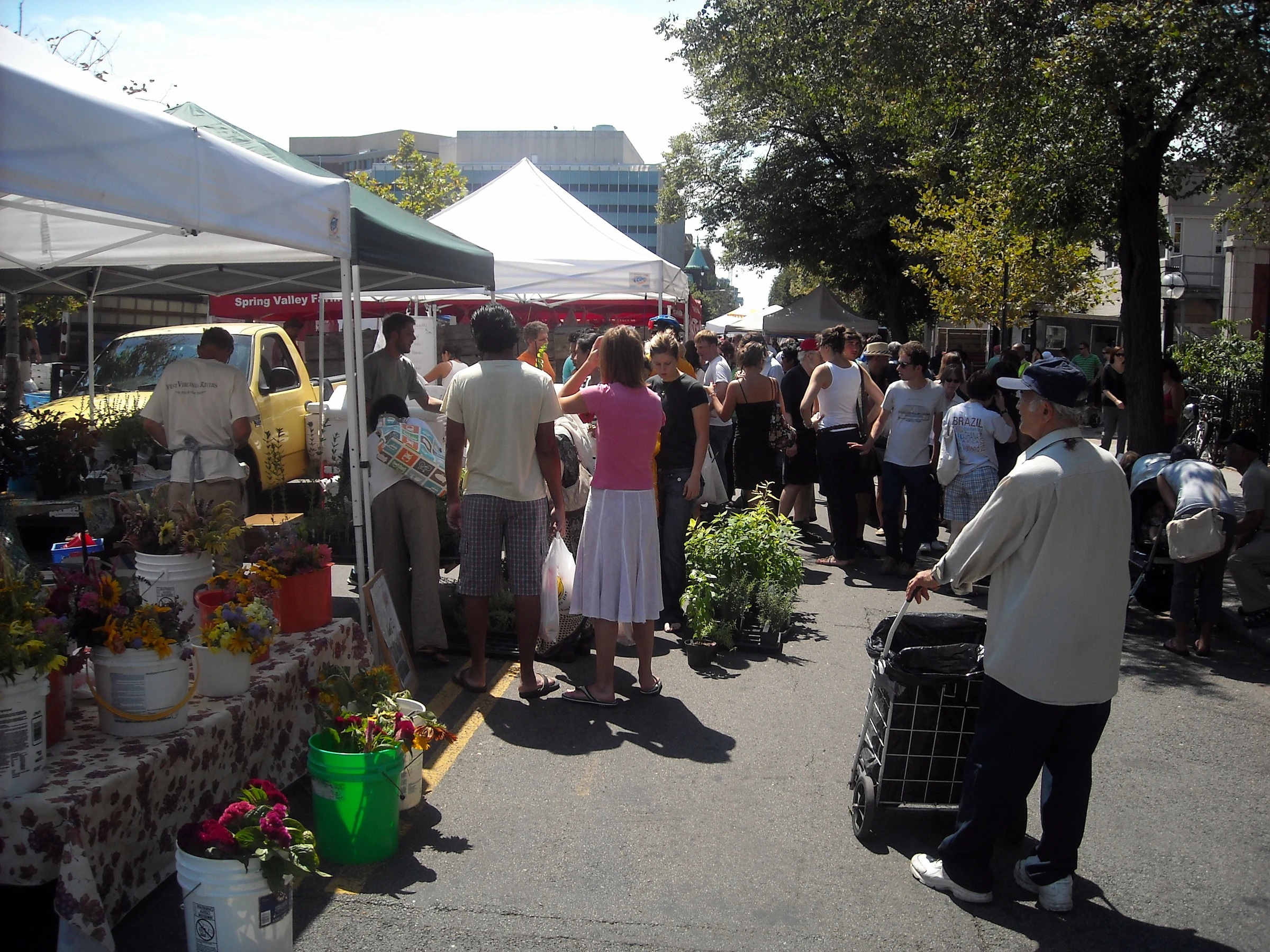 People shop among produce and flower stalls at the Dupont Circle Farmers Market.