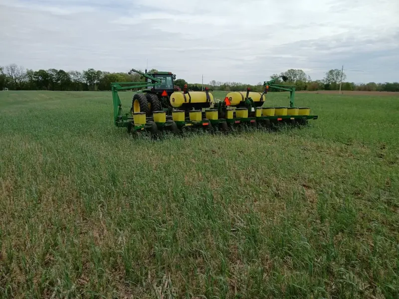 A tractor pulls a green planter with yellow seed boxes through a field of tall green cereal rye.