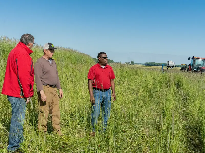 Chris Lee, Pat Bittner and Keith Williams stand together in a field of tall cover crops.