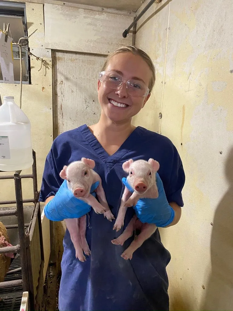 Avery Williams smiles while holding two piglets in a barn.