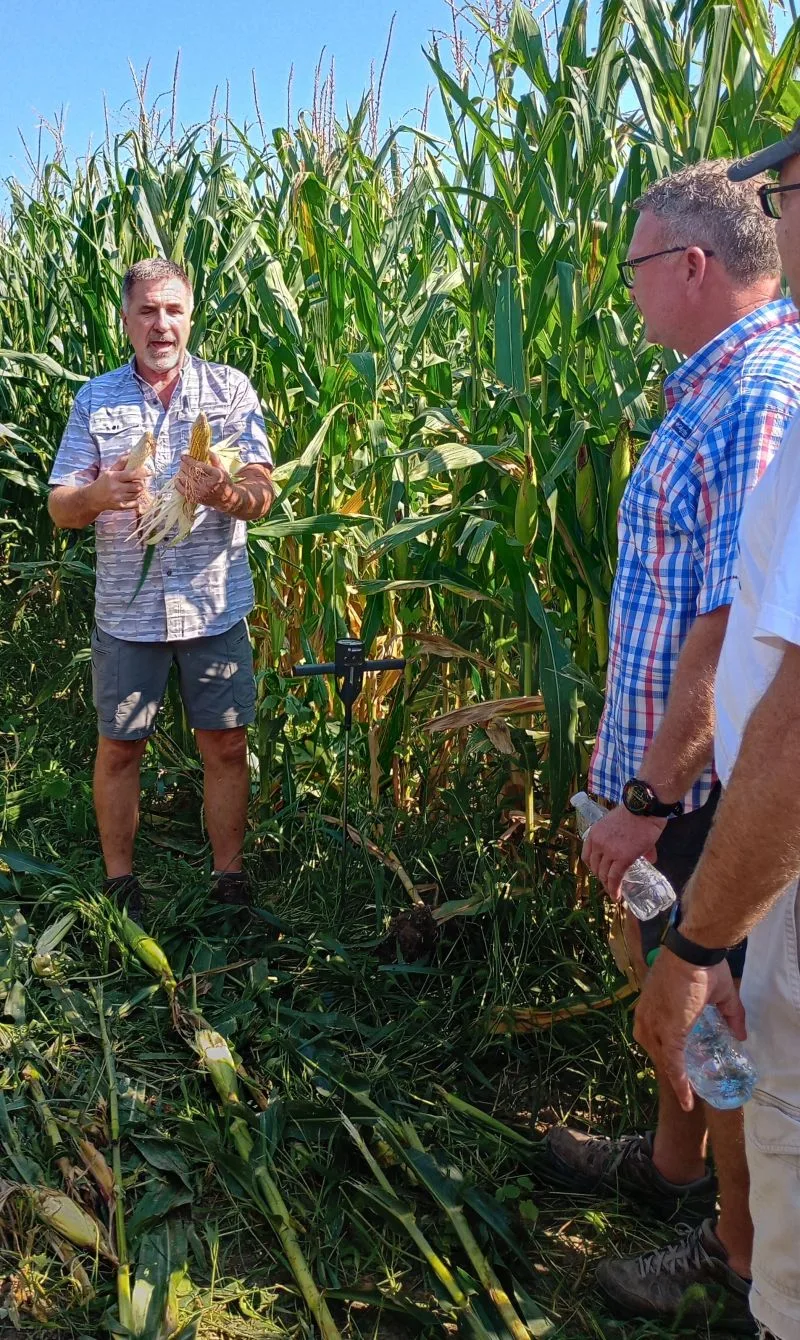 A farmer standing between tall corn rows holds up an ear of corn while others listen.