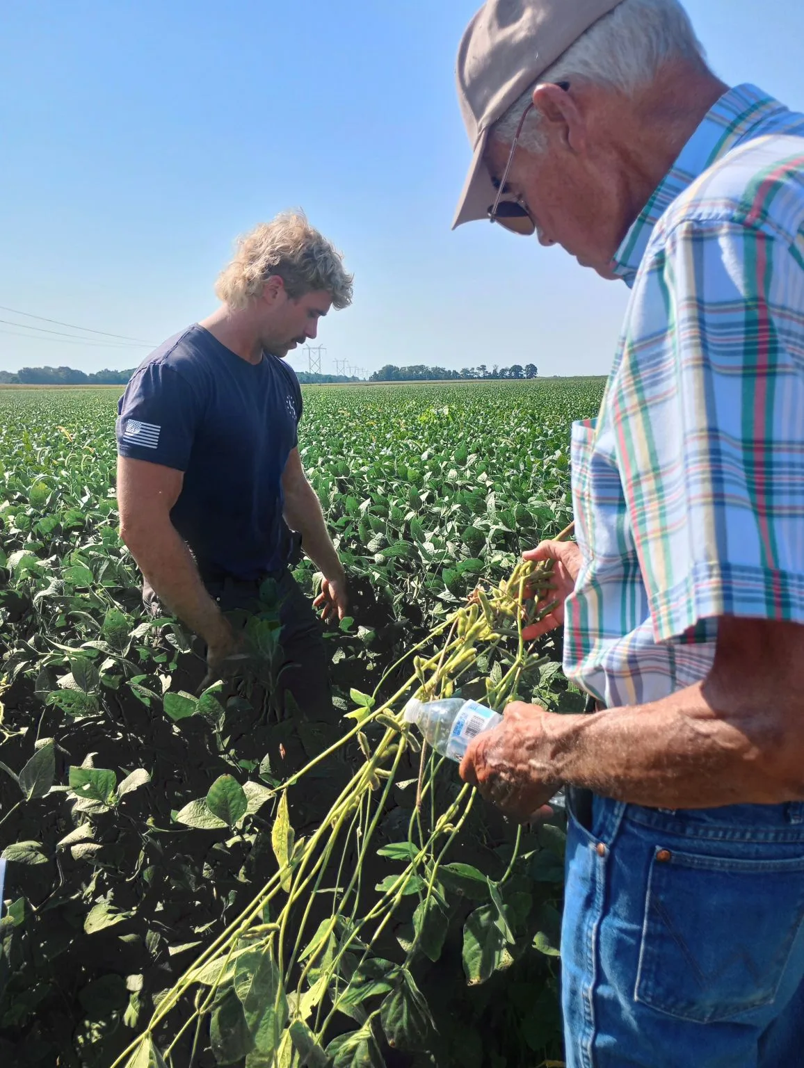 A young farmer looks over a soybean plant pulled from the field while an older farmer in a cap holds up another plant and its roots.