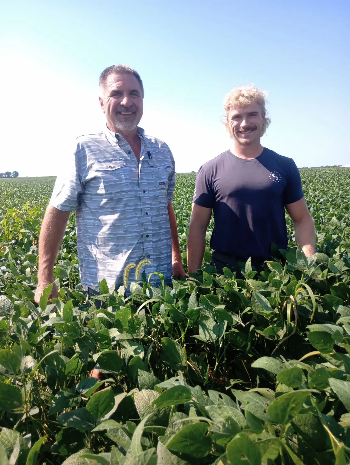 Two farmers stand waist-deep in a green soybean field under a clear blue sky.