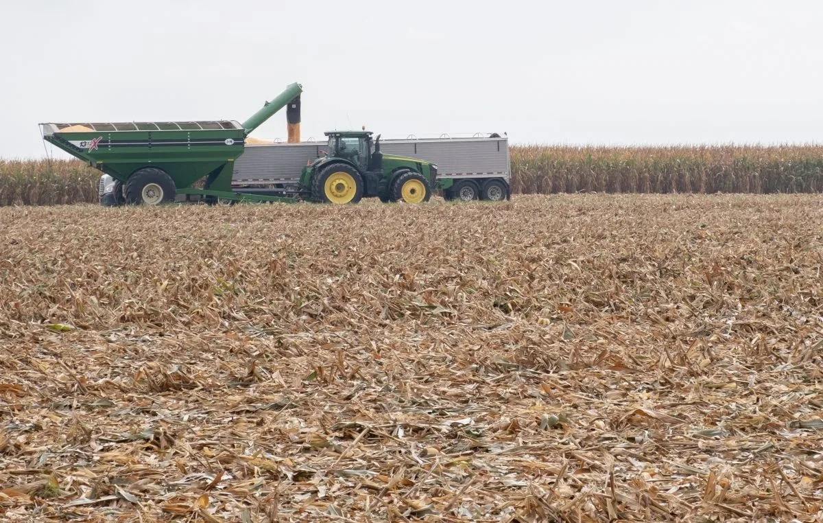 A tractor pulls a grain cart across a harvested field, with standing corn behind it.