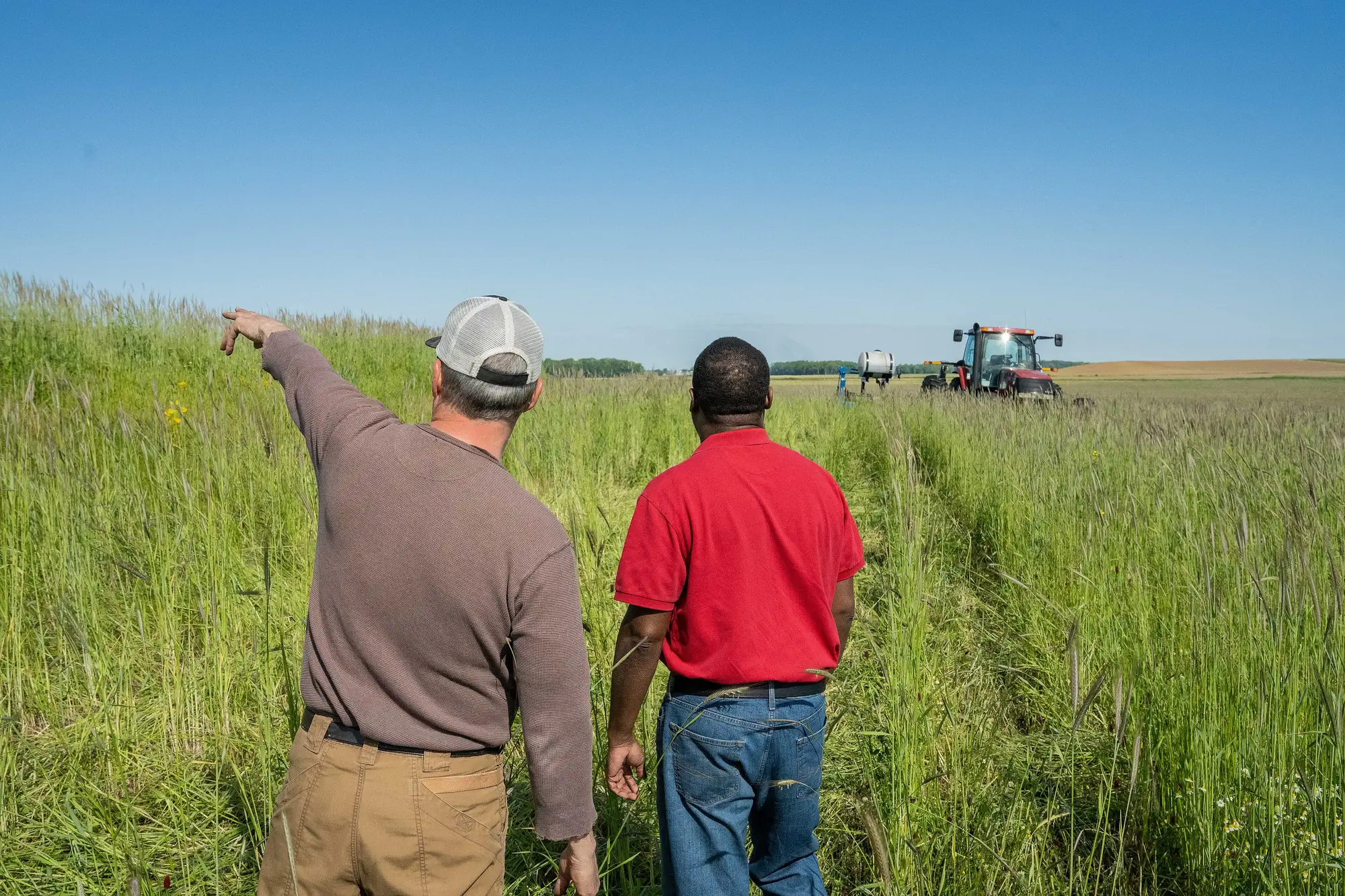 Pat Bittner points across his field of tall cover crops while talking with Keith Williams, a tractor and planter working behind them.