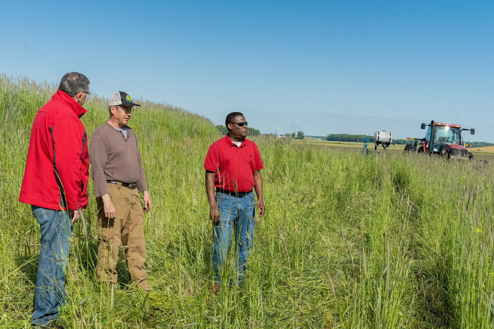 Chris Lee, Pat Bittner and Keith Williams stand together in a field of tall cover crops.