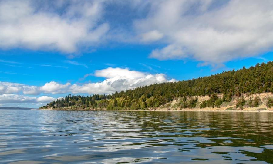 Camano's wooded bluff shoreline curving along calm blue-green water