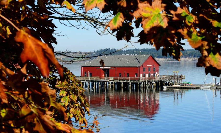The red Coupeville wharf on Penn Cove framed by autumn leaves