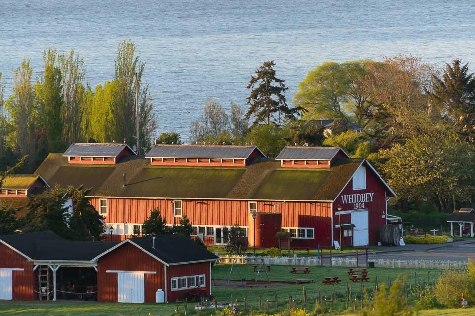 The red 1904 barn at Greenbank Farm above its field, water and the mainland beyond