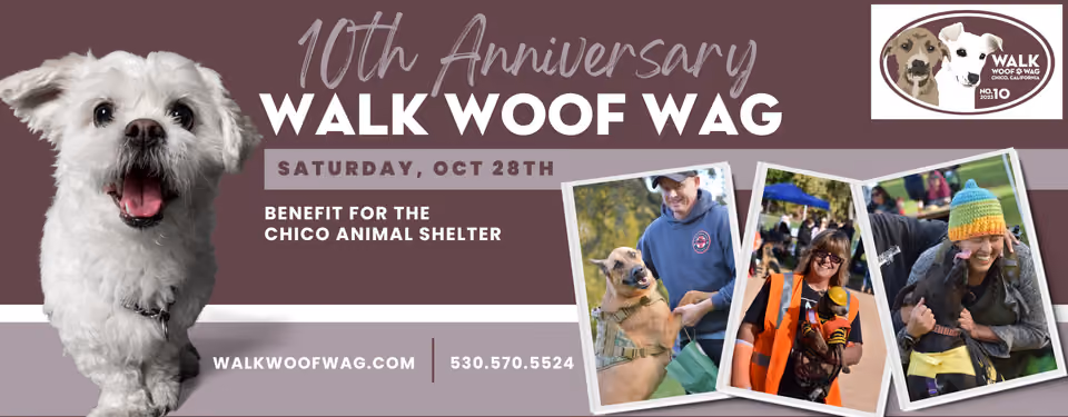 Banner for the 10th Anniversary Walk Woof Wag, Saturday, Oct 28th, benefiting the Chico Animal Shelter, with smiling dog and photos of walkers