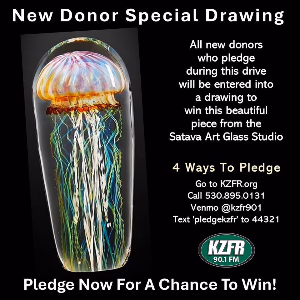 Flyer for KZFR New Donor Special Drawing: new donors who pledge win a glass jellyfish sculpture from Satava Art Glass Studio; pledge at KZFR.org, 530.895.0131, Venmo or text