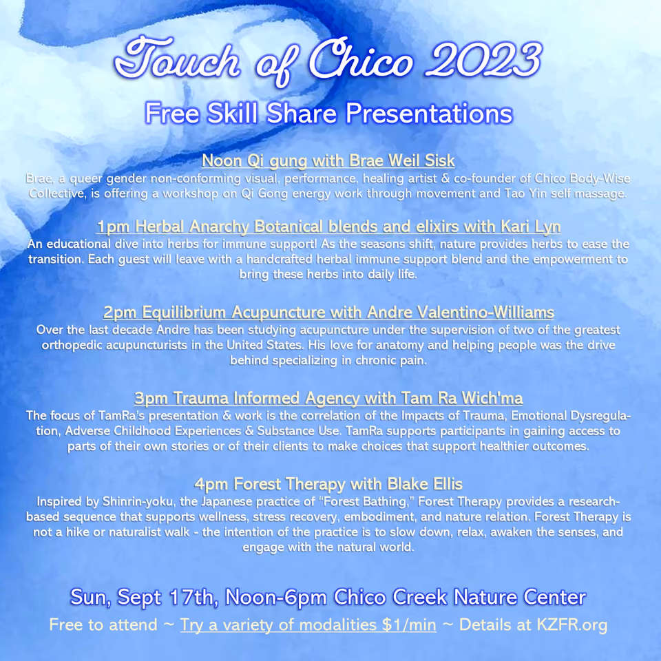 Flyer for Touch of Chico 2023 free skill share presentations: Qi gung, herbal blends, acupuncture, trauma informed agency, forest therapy. Sun, Sept 17th, Noon-6pm, Chico Creek Nature Center
