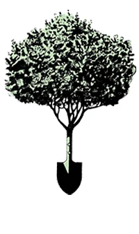 Floral Native Nursery & Restoration