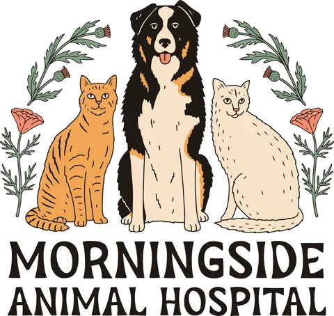 Morningside Animal Hospital