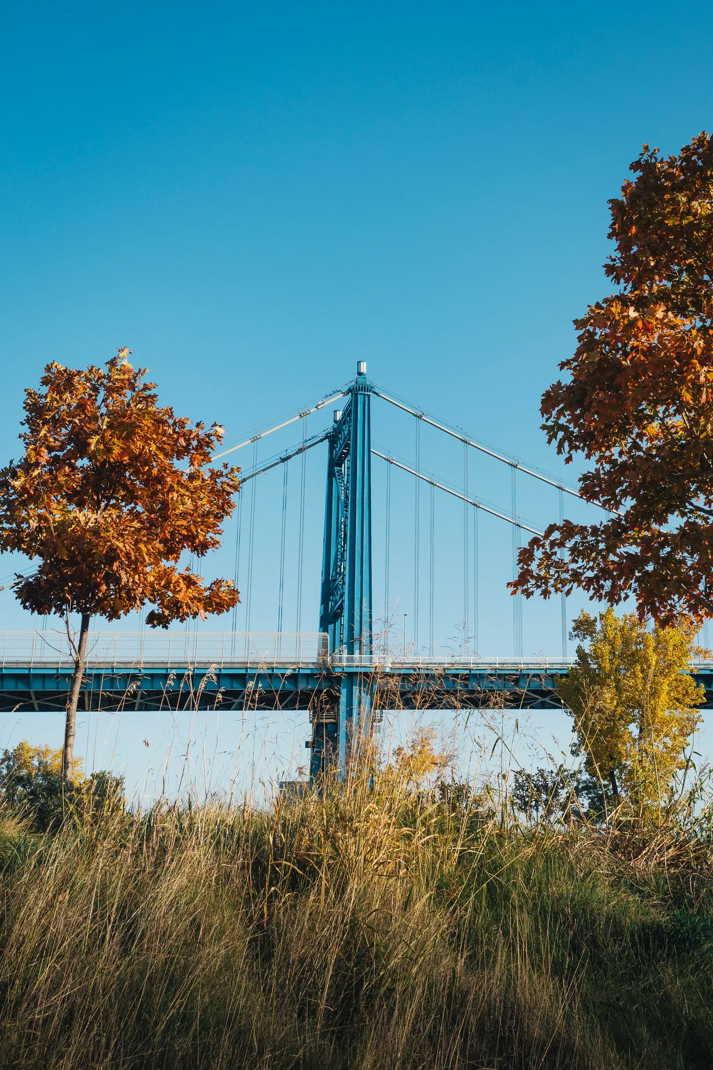 The Anthony Wayne Bridge over the Maumee River