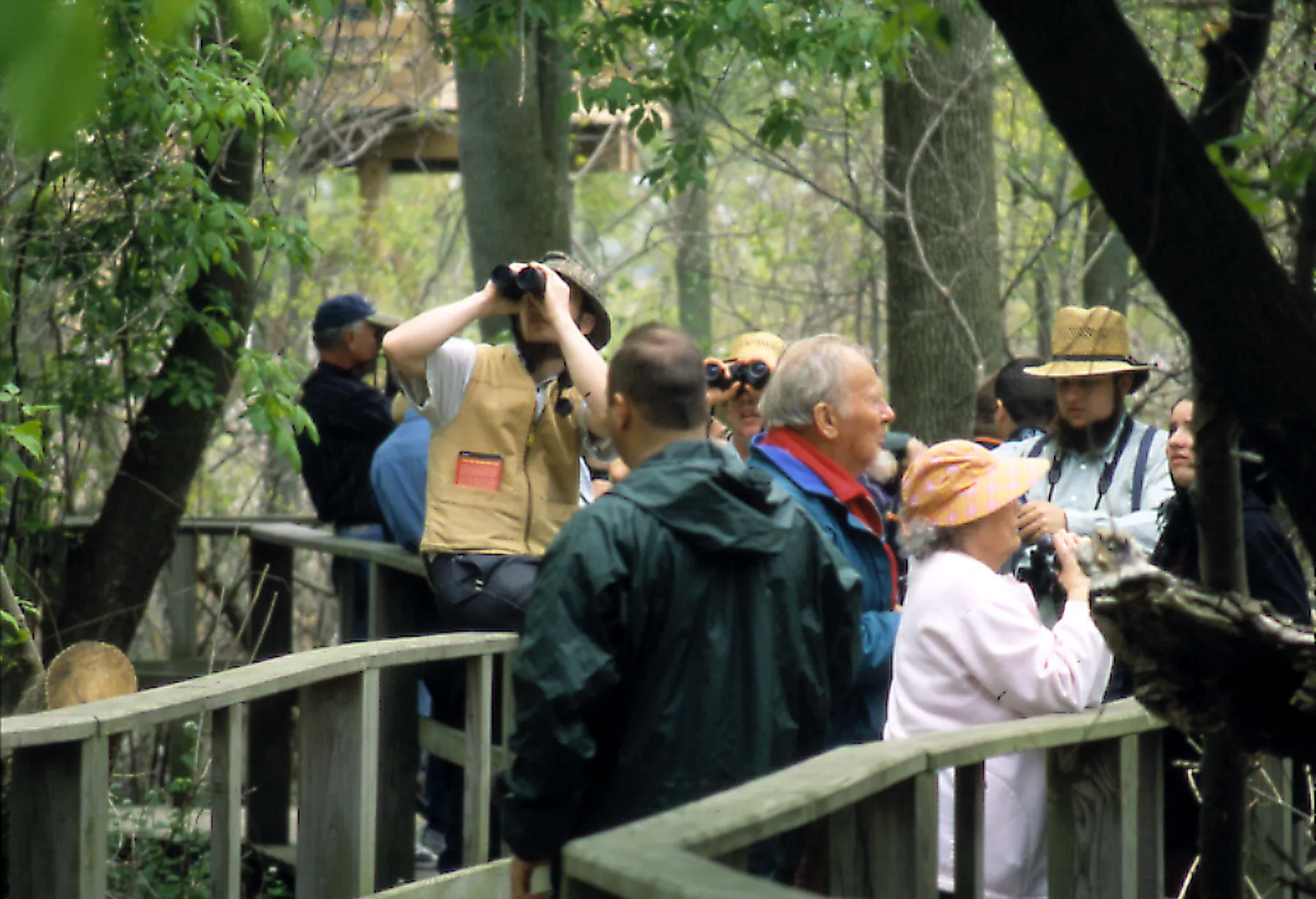 Birdwatchers on the boardwalk at Magee Marsh along the Lake Erie shore