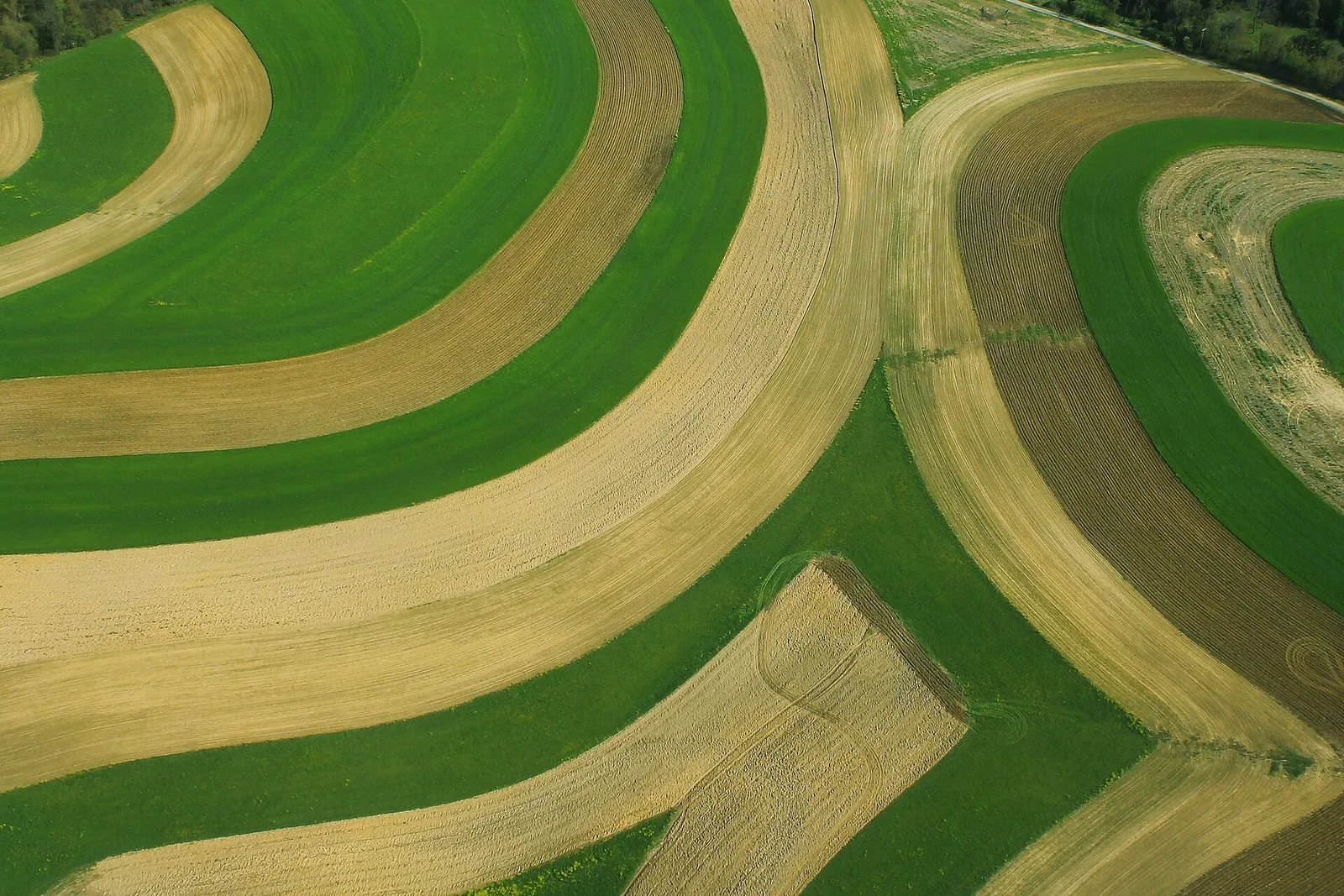Curved crop rows across northwest Ohio farmland