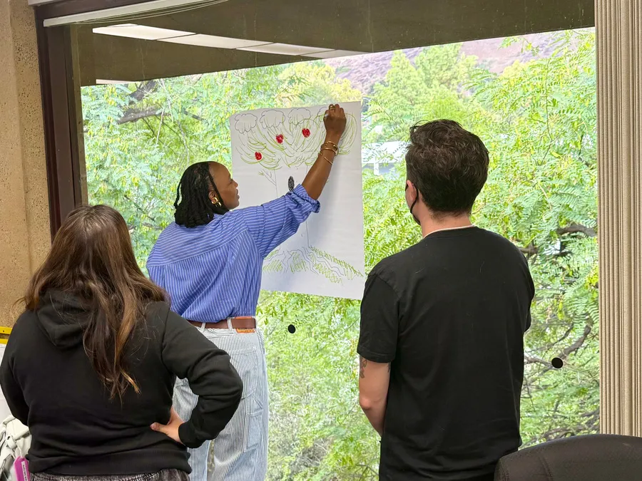 Three people at a workshop. One reaches up to add to a hand-drawn diagram of a tree on a flip chart taped to a window; two others watch, backs to the camera, with green trees outside.