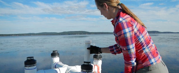 A Maryland Sea Grant research fellow studying submerged aquatic vegetation