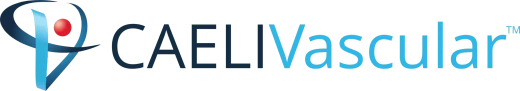 Caeli Vascular logo