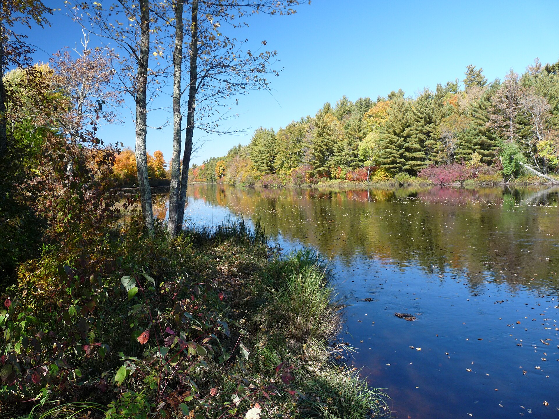 Flambeau River State Forest landscape in northern Wisconsin