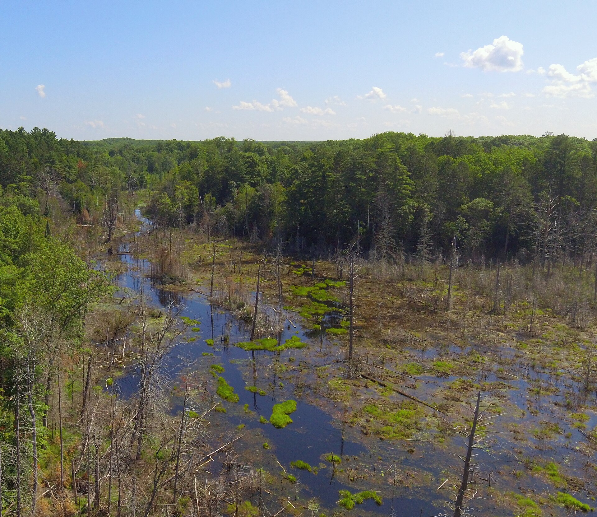Aerial view of Lac du Flambeau wetlands in Wisconsin