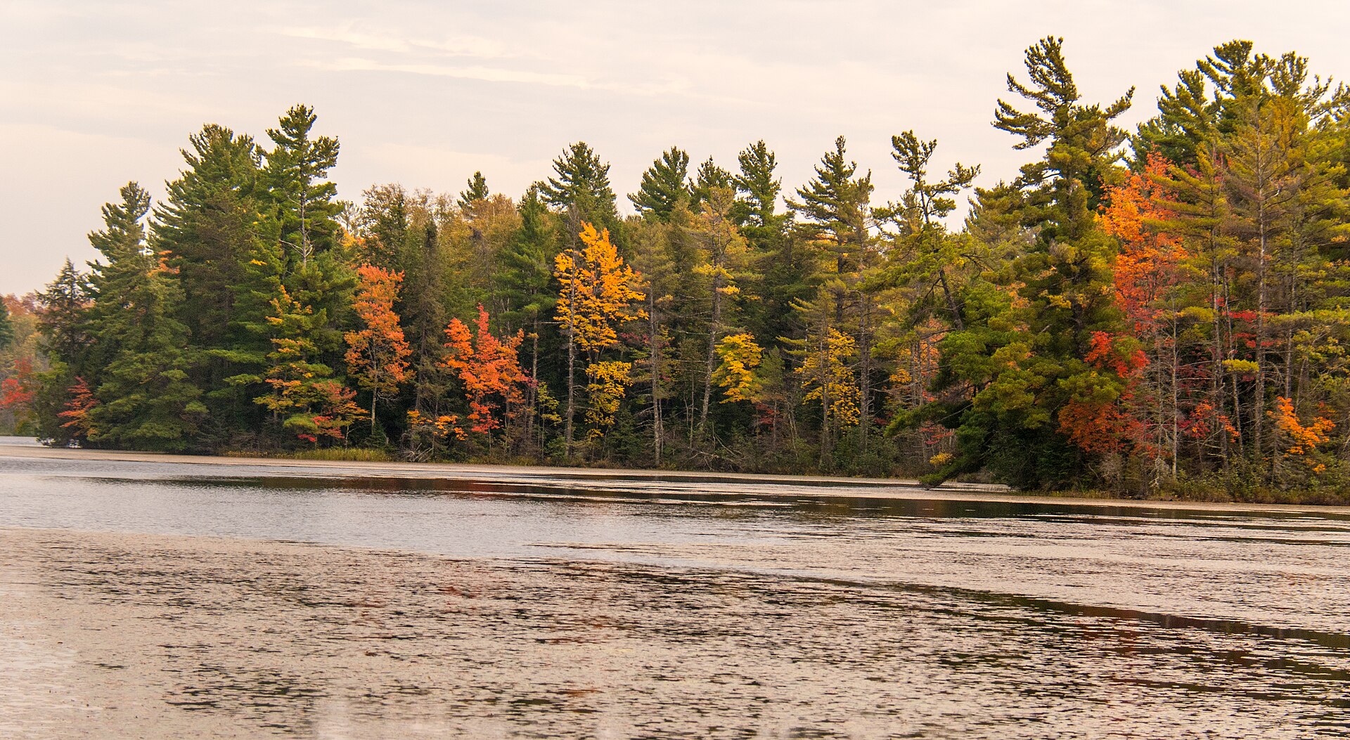 Autumn trees along Perch Lake in Chequamegon-Nicolet National Forest