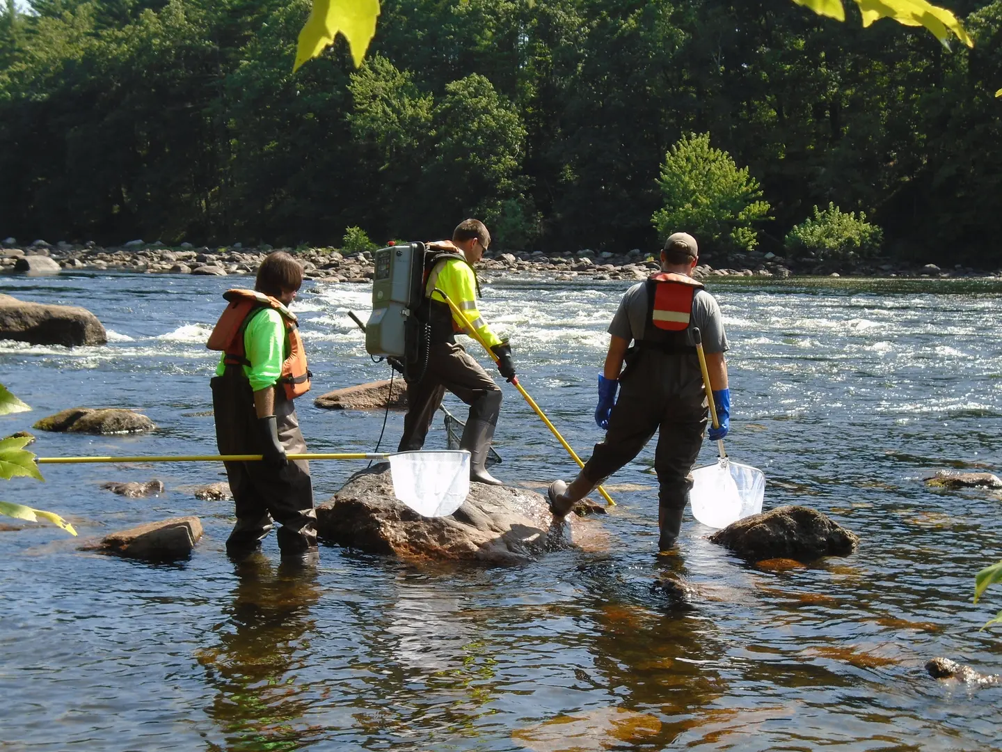 Three people in waders and life vests carry nets across a rocky river