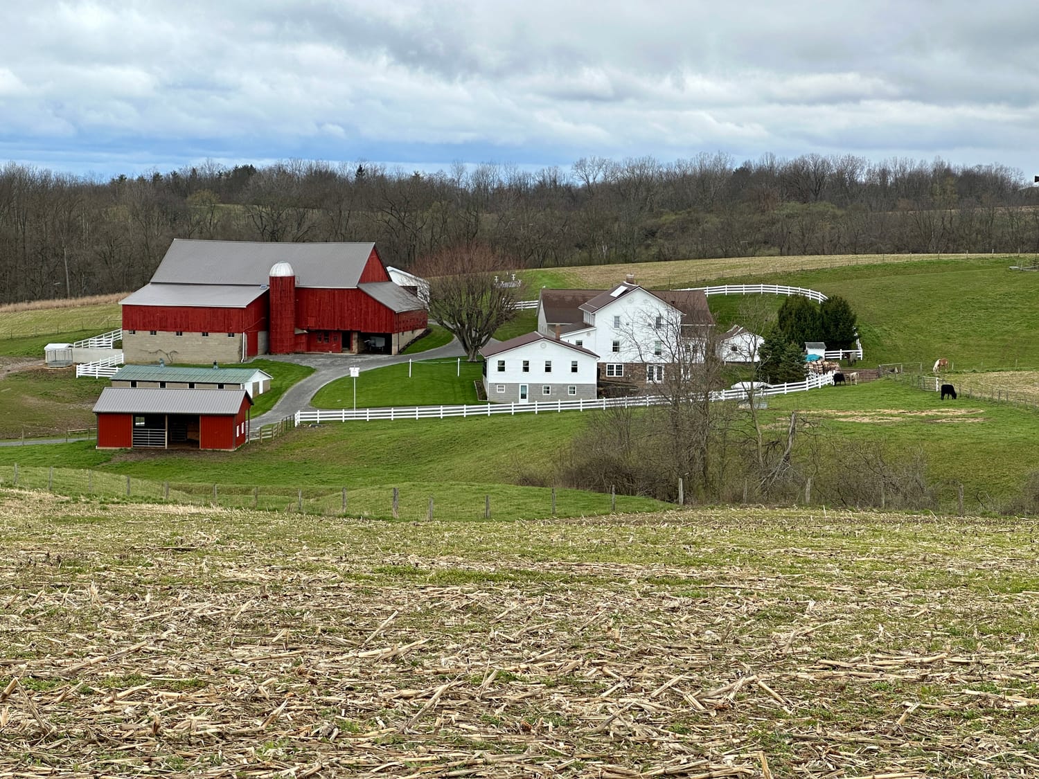 Farm landscape in Holmes County, part of OMEGA's Appalachian Ohio service area.