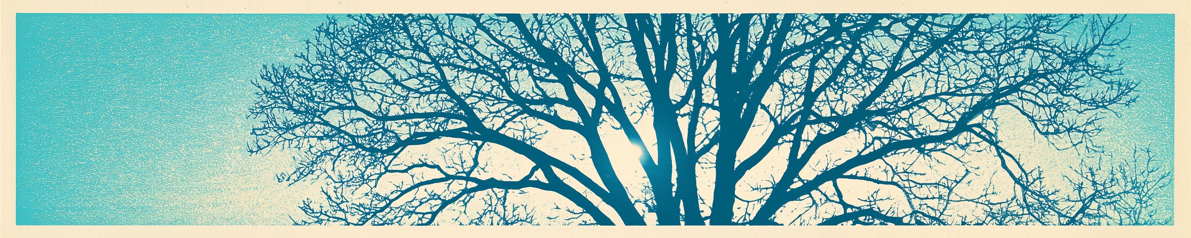 A bare oak crown with the sun caught in its branches, cut in blue ink