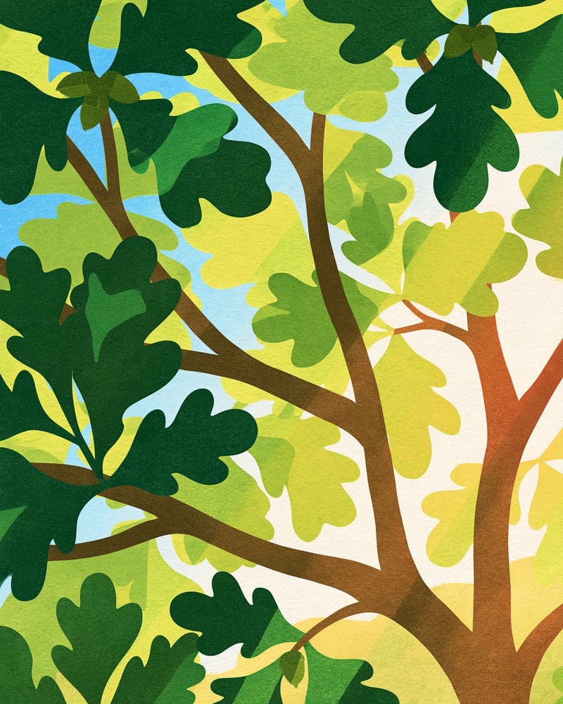 Looking up through an oak canopy in cut paper