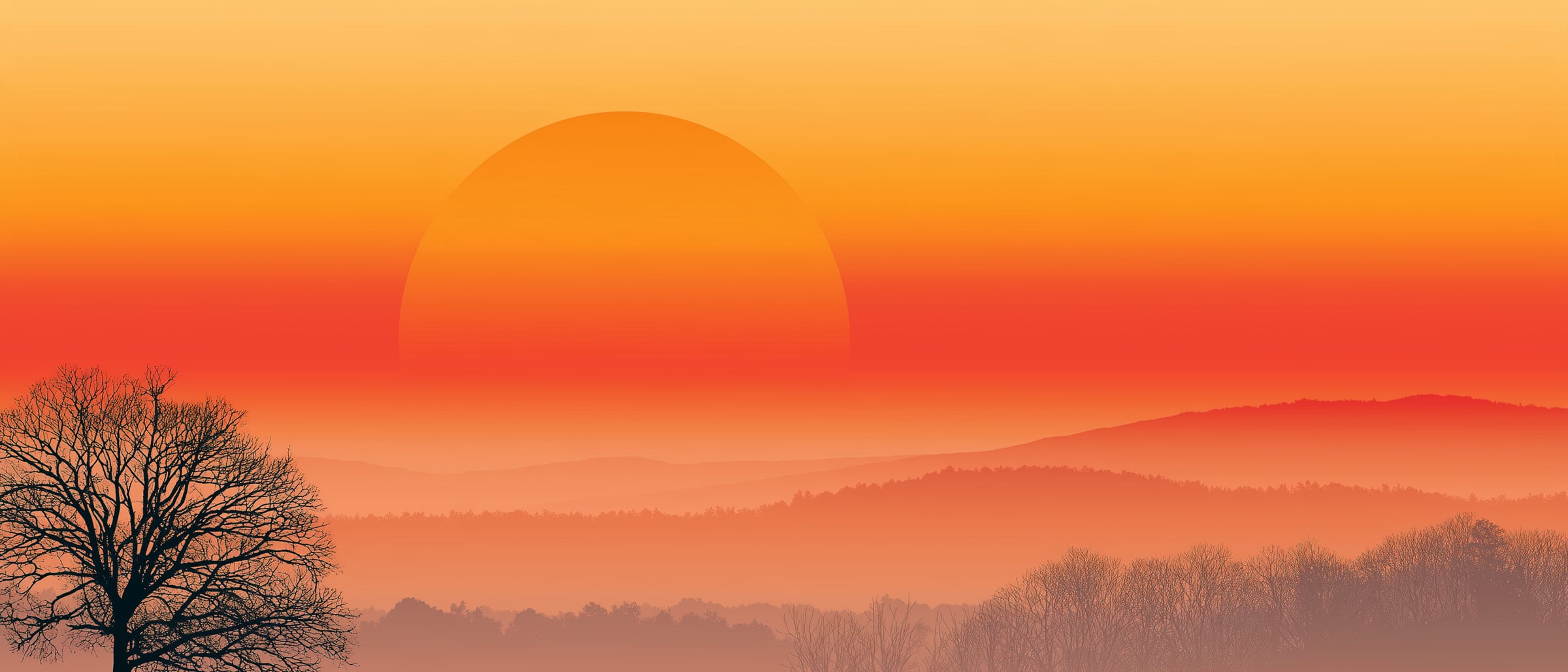 A red-orange sky, a bare oak in silhouette and hills in haze