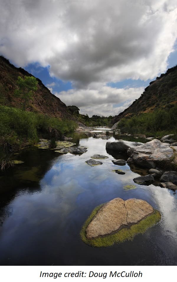 The Canyon