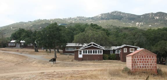 The Great Oak