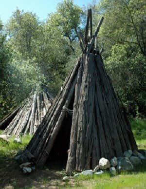 Native Plants and Their Uses