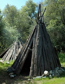 TraditionalHome CedarBarkHouse