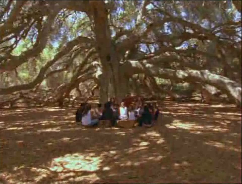 The Great Oak