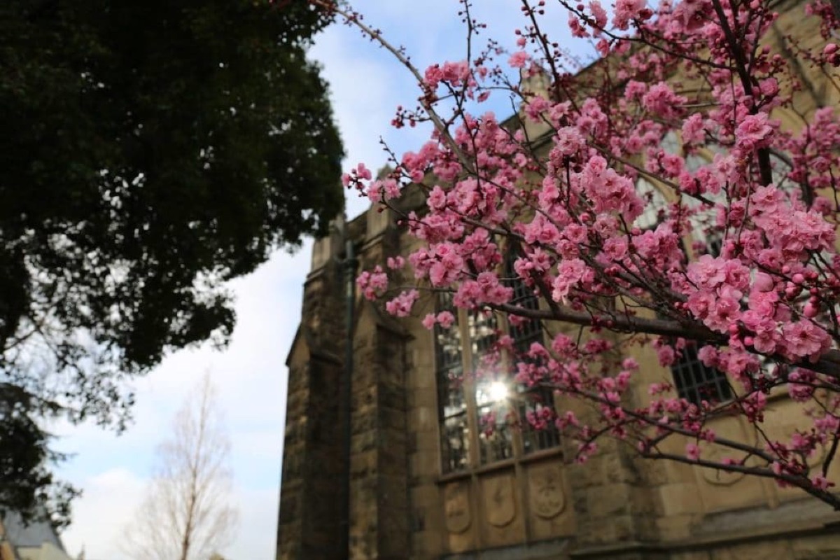 Spring blossoms in front of the Gothic-revival chapel windows on the Holy Hill campus