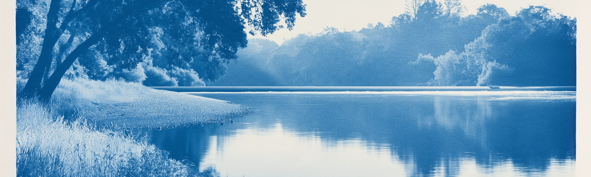 Calm river water reflecting oaks and dry summer grass