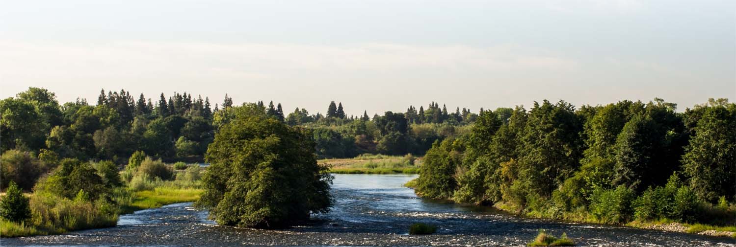 River channels and riparian vegetation in the Sacramento region