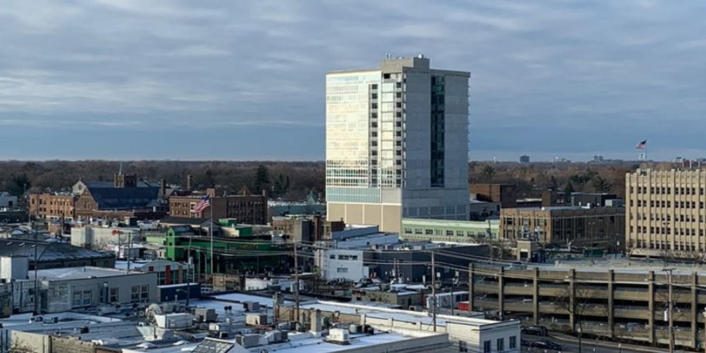 Downtown Royal Oak from above rooftop level, its blocks of offices, lofts and storefronts running toward the horizon