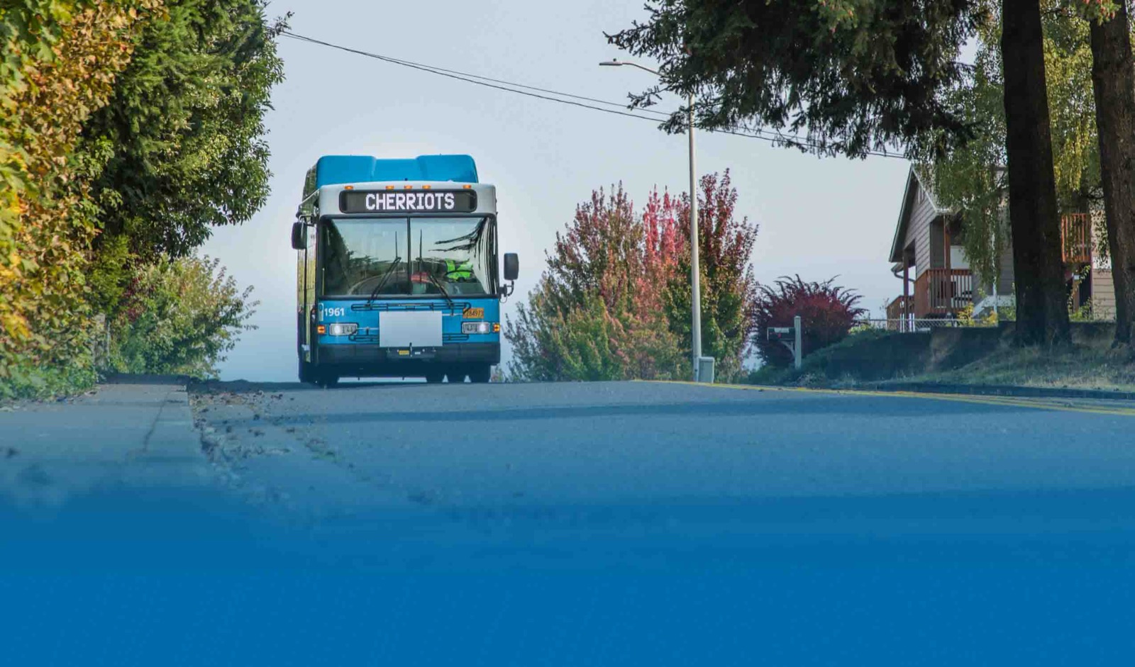 A Cherriots Local bus on a tree-lined Salem street in fall