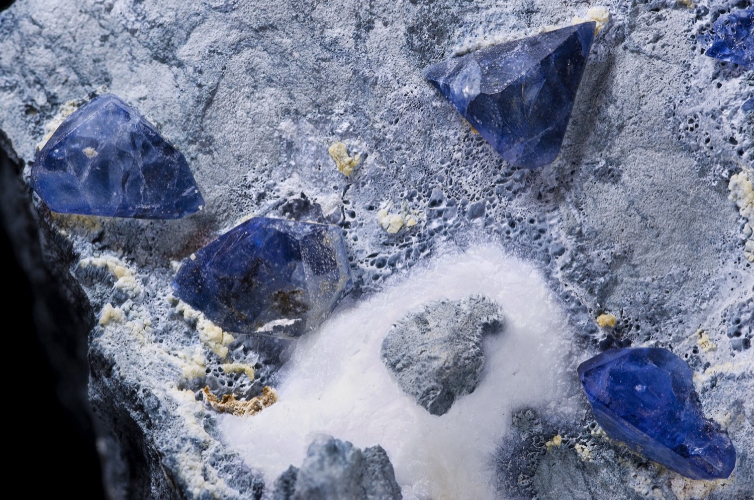 Blue benitoite crystals on a pale mineral crust beside a mass of white natrolite, the gem found in quantity only in San Benito County
