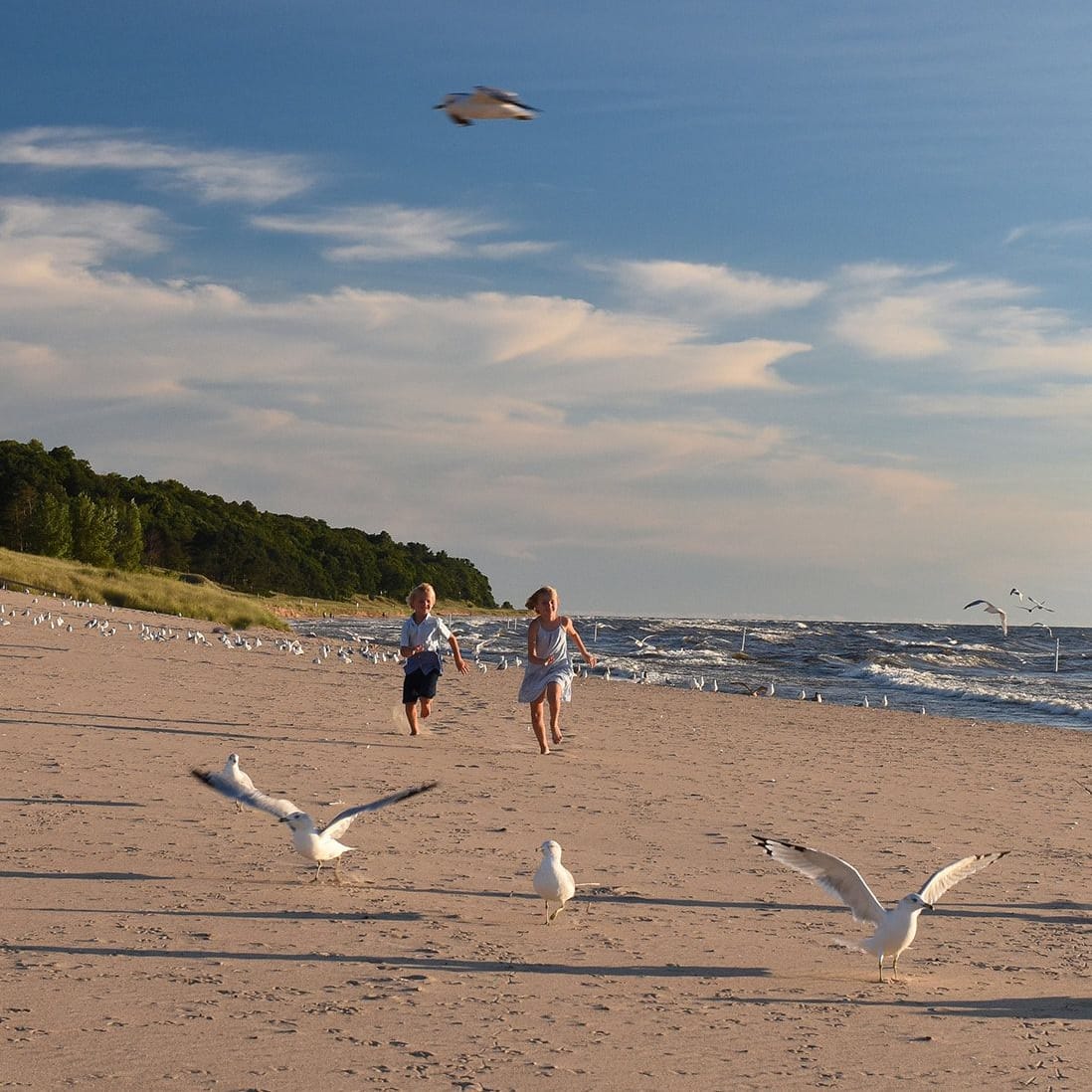 Two children run along the sand at Oval Beach as gulls take off around them, with Lake Michigan waves and the wooded dunes behind.